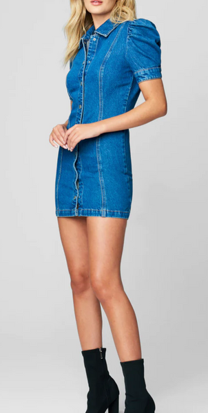 Walk In The Park Denim Dress