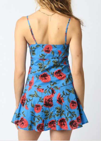 Juliette Floral Fit+Flare Dress