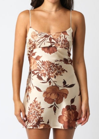Lyla Fall Floral Dress