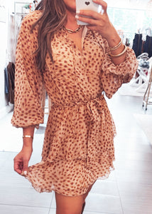 Aime Spotted Chiffon Dress
