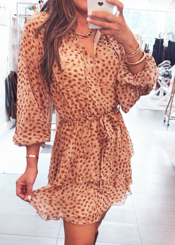 Aime Spotted Chiffon Dress