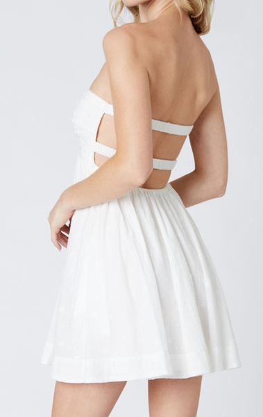 Tori Embroidered Strapless Dress