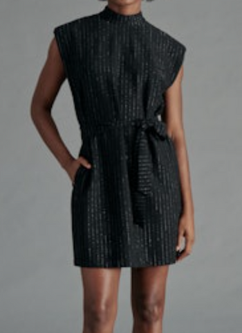 Adele Silver Stripe Belted Dress