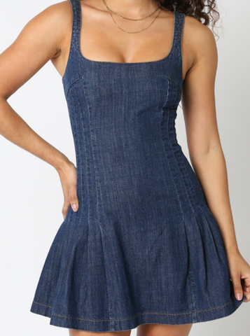 Paige Fit+Flare Denim Dess