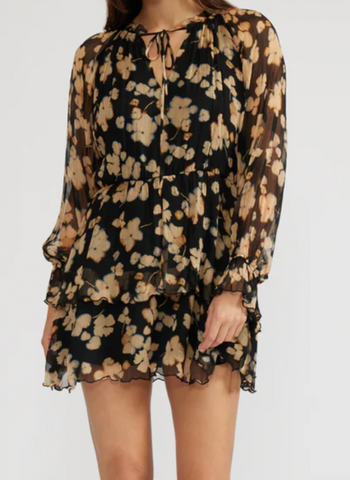 Vera Floral Chiffon Dress