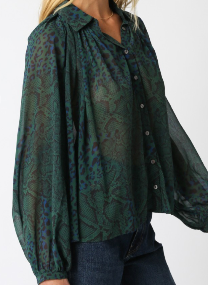 Francesca Chiffon Print Blouse