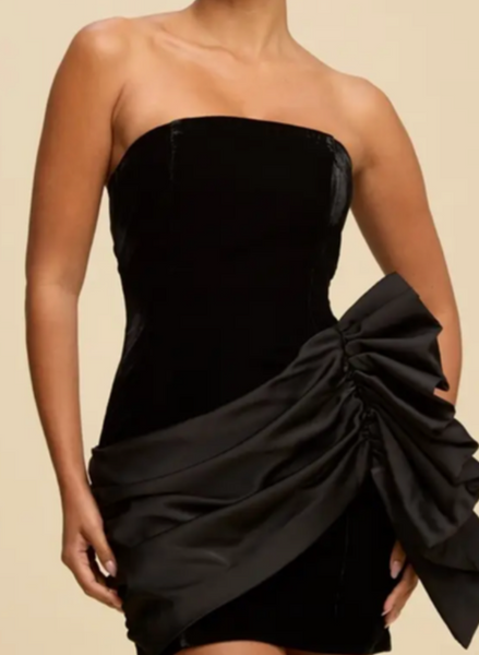 Alisha Velvet Satin Mini Dress