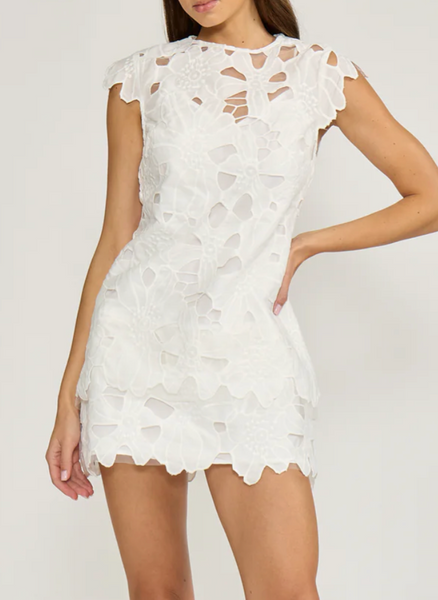 Jolene Lace Dress