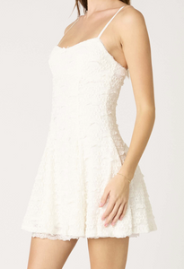 Lyra Lace Fit & Flare Dress