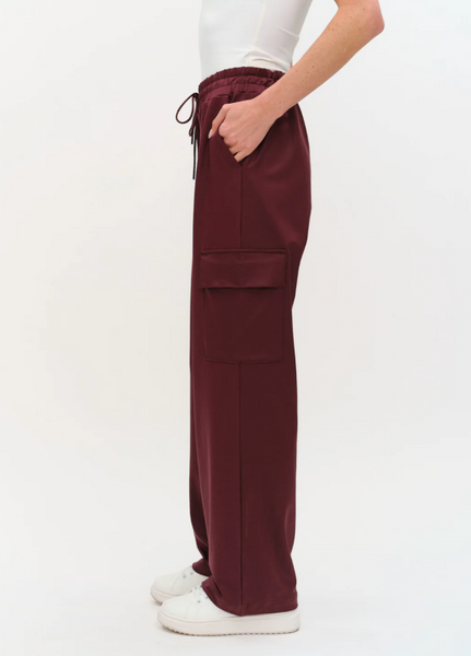Ryder Faux Leather Pants