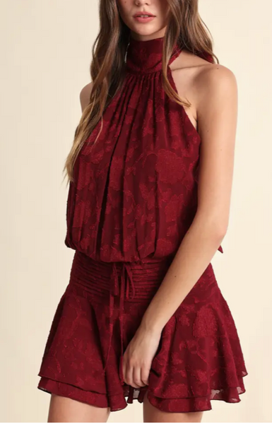 Arya Halter Neck Mini Dress