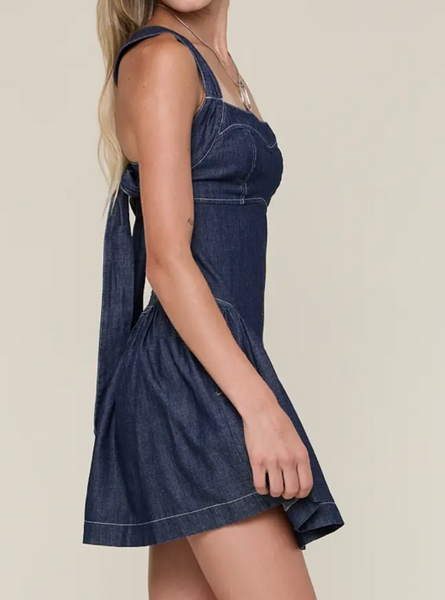 DIxie Denim Dress