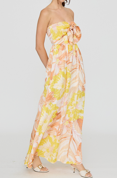 Bailey Strapless Print Maxi Dress
