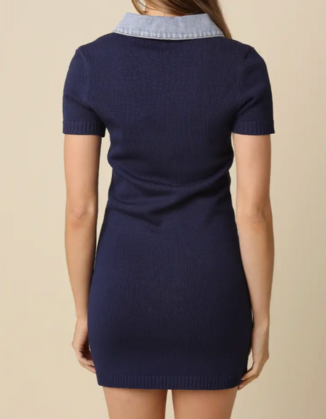 Kayla Denim Collar Knit Dress