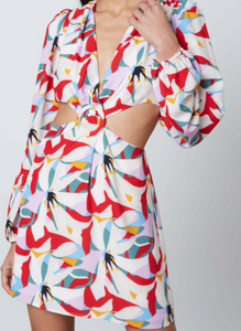 Stella Cutout Print Dress