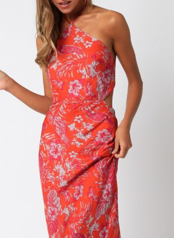 Bridget Floral Tie Back Maxi Dress