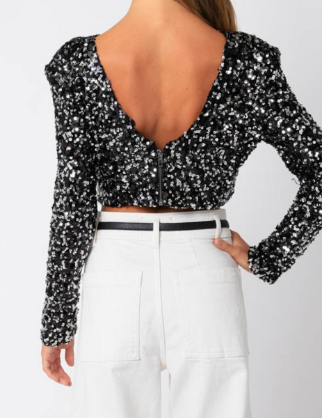 Misha Cropped Sequin Top