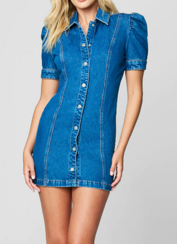 Walk In The Park Denim Dress